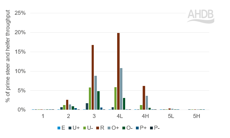 Graph showing confirmation proportions in 2019 